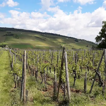 Villa/appartement Au Coeur Des Vignes *** アパート *