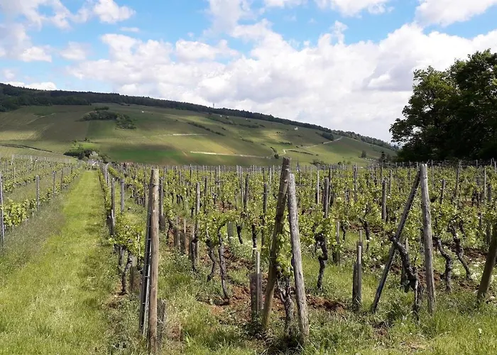 Villa/appartement Au Coeur Des Vignes *** Appartement *