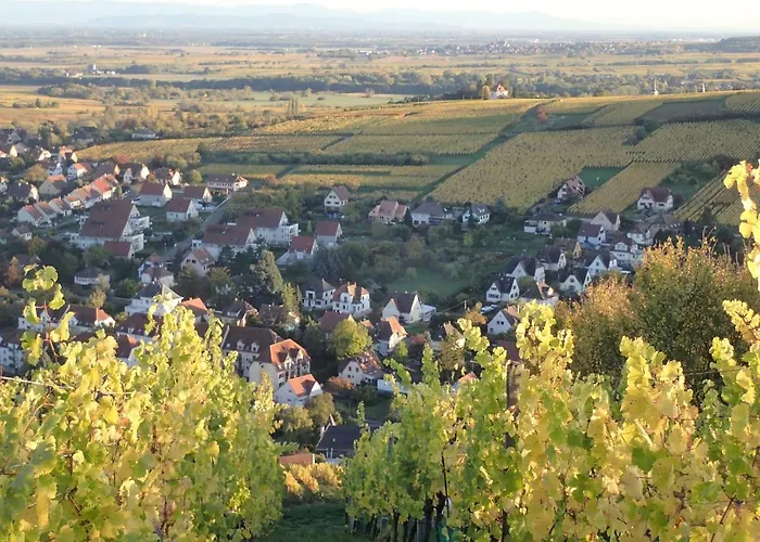 Villa/appartement Au Coeur Des Vignes *** Appartement Barr